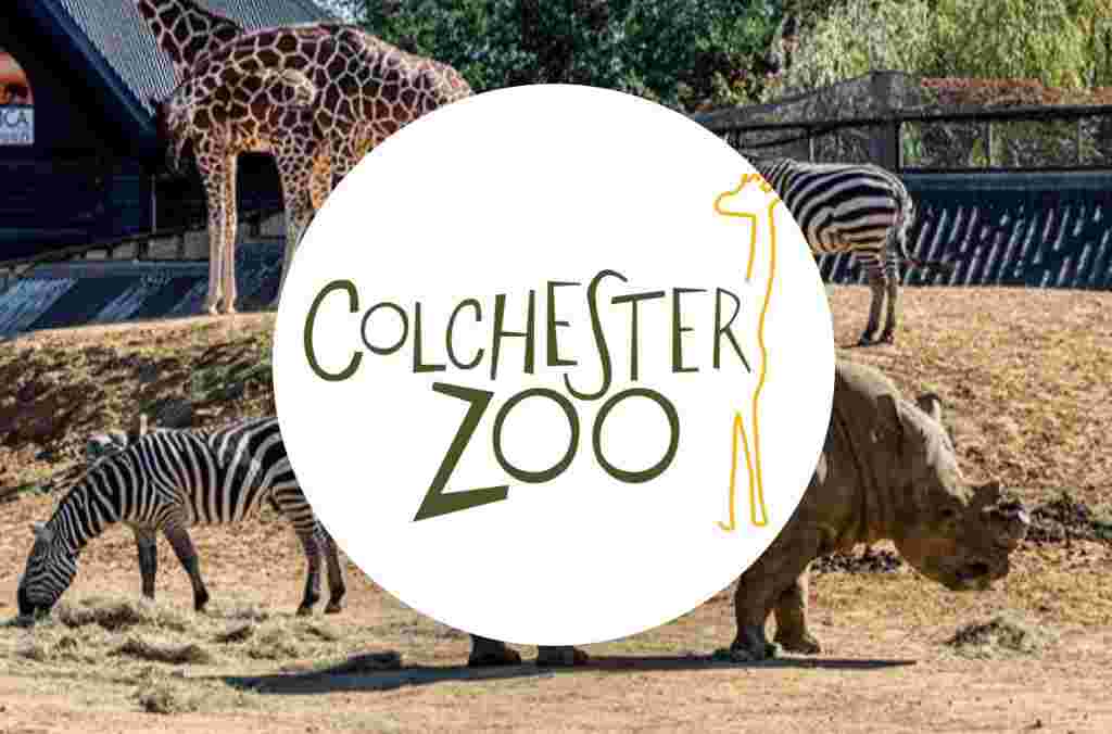 Colchester Zoo Prices